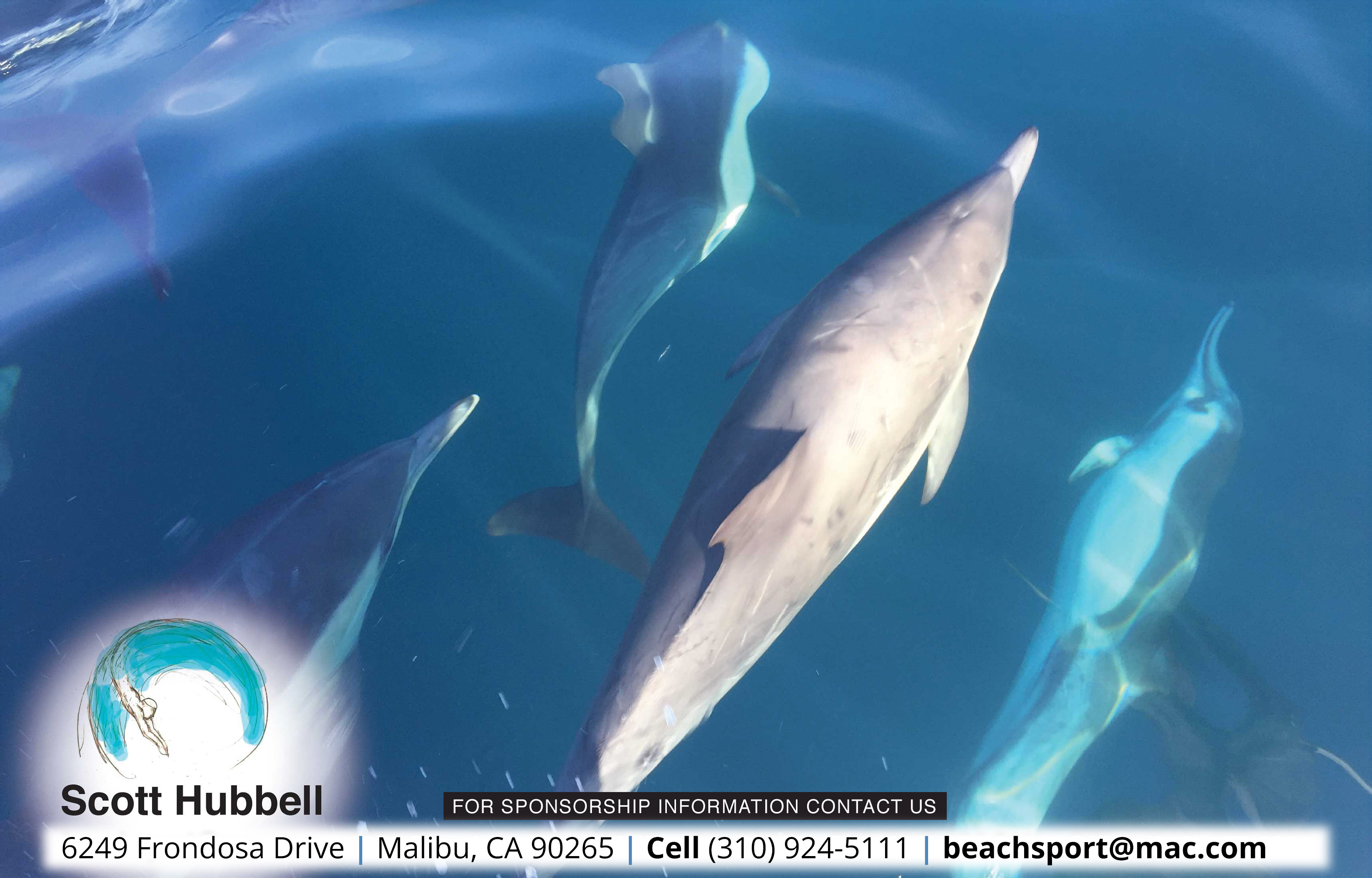 Beachsport.org - About Us